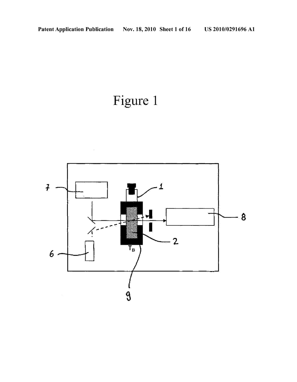 Process For Detecting Nucleic Acids - diagram, schematic, and image 02