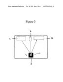 Process For Detecting Nucleic Acids diagram and image