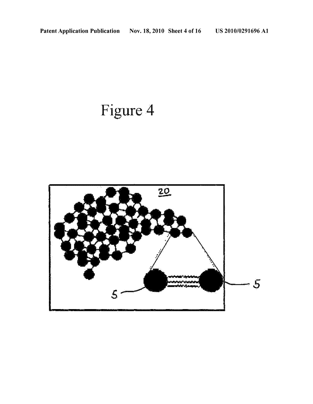 Process For Detecting Nucleic Acids - diagram, schematic, and image 05