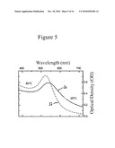 Process For Detecting Nucleic Acids diagram and image