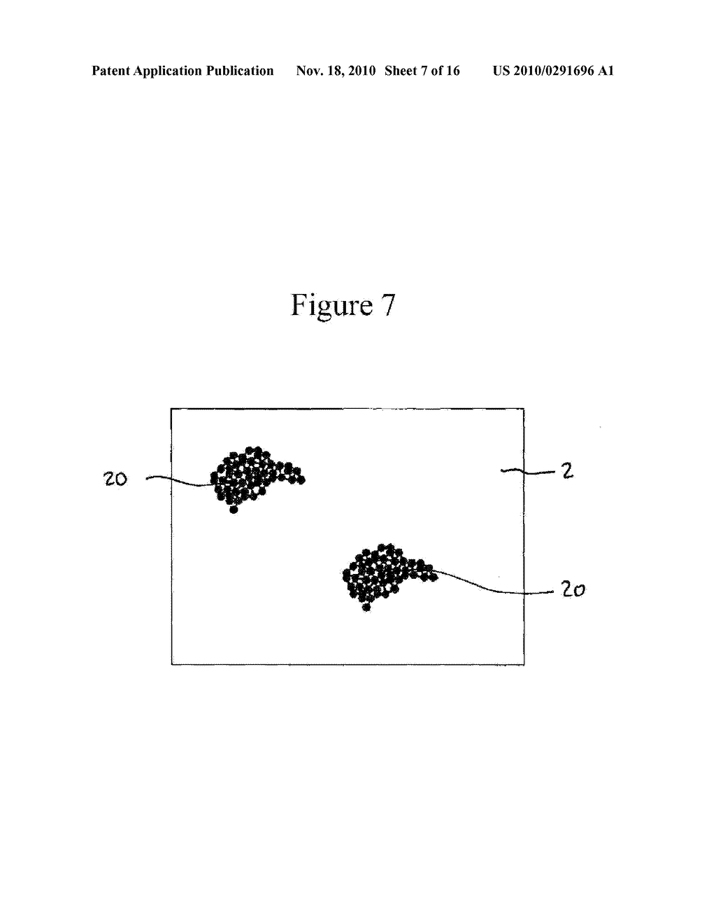 Process For Detecting Nucleic Acids - diagram, schematic, and image 08