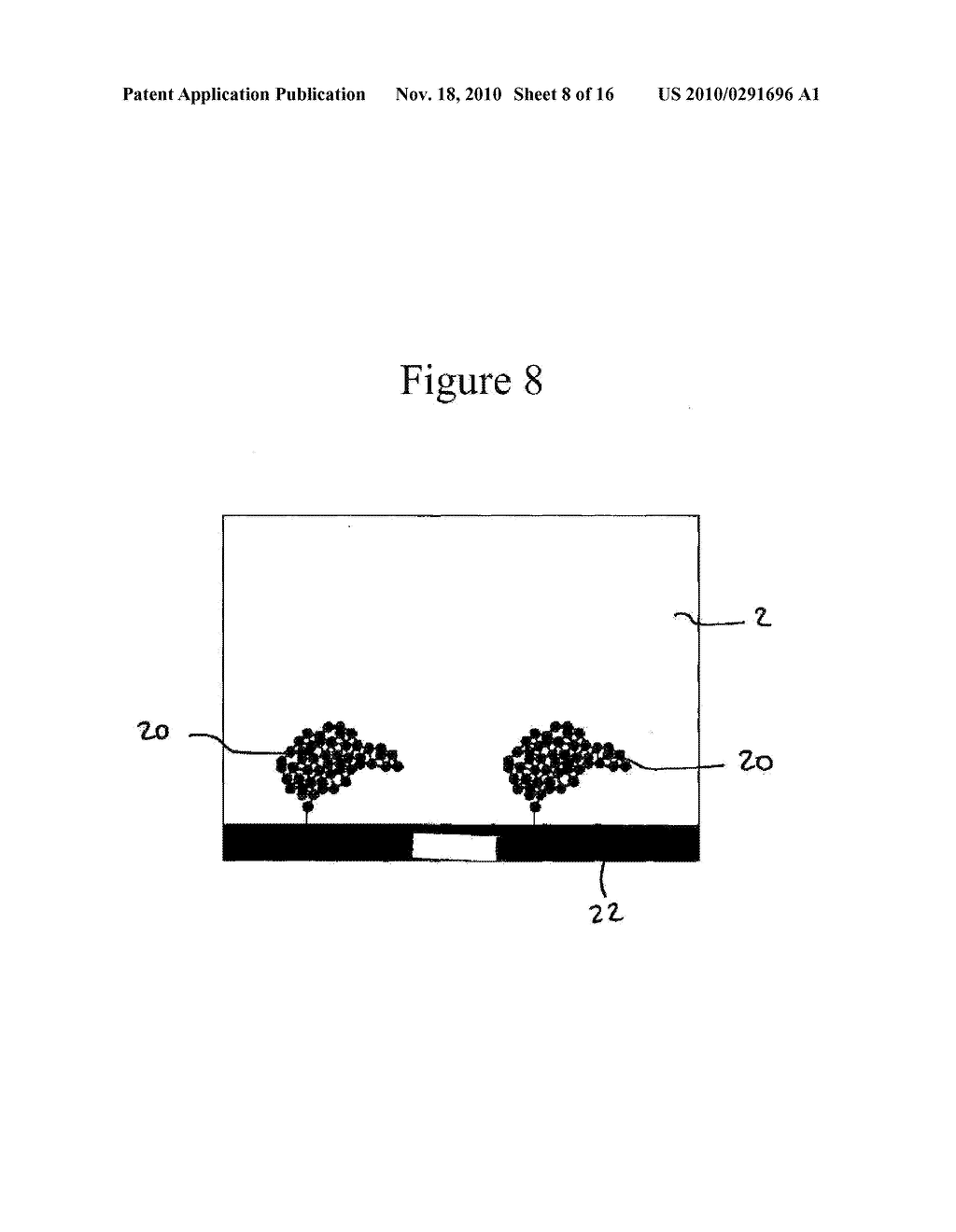 Process For Detecting Nucleic Acids - diagram, schematic, and image 09