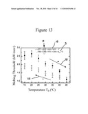 Process For Detecting Nucleic Acids diagram and image