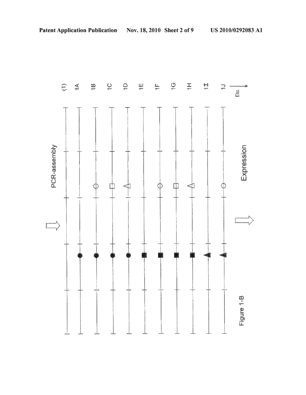 PROVIDING IMPROVED IMMUNOGLOBULIN SEQUENCES BY MUTATING CDR AND/OR FR POSITIONS - diagram, schematic, and image 03