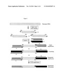 Complexity Management of Genomic DNA diagram and image