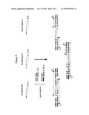 Complexity Management of Genomic DNA diagram and image