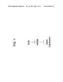 TARGETING OF RNA WITH EXTERNAL GUIDE SEQUENCES diagram and image