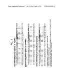 TARGETING OF RNA WITH EXTERNAL GUIDE SEQUENCES diagram and image