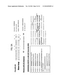 TARGETING OF RNA WITH EXTERNAL GUIDE SEQUENCES diagram and image