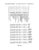 PROTEIN PROFILE FOR OSTEOARTHRITIS diagram and image