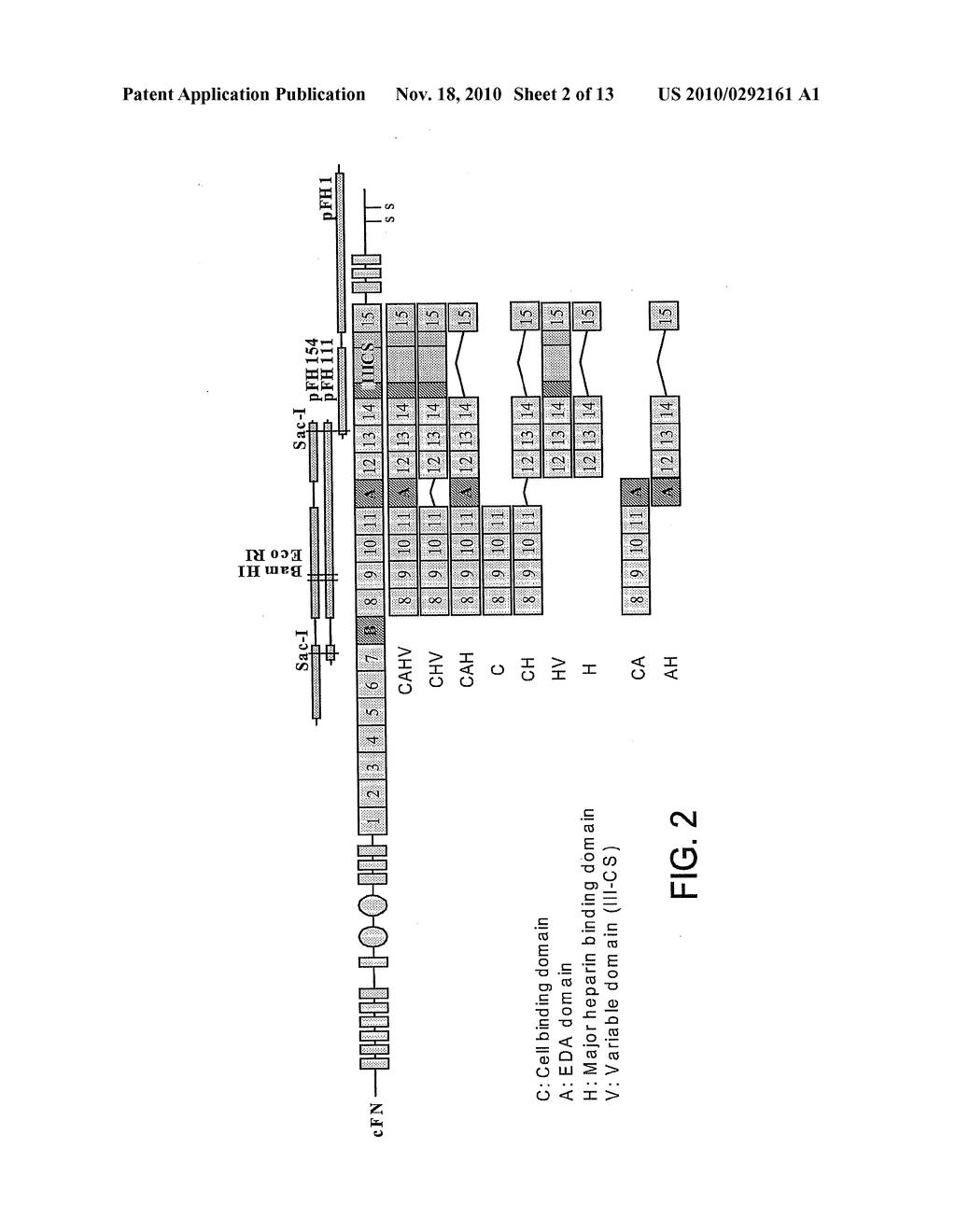 POLYPEPTIDES AND METHODS OF USE - diagram, schematic, and image 03