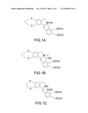 Method of treating non-insulin dependent diabetes mellitus and related complications diagram and image