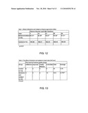 Method of treating non-insulin dependent diabetes mellitus and related complications diagram and image