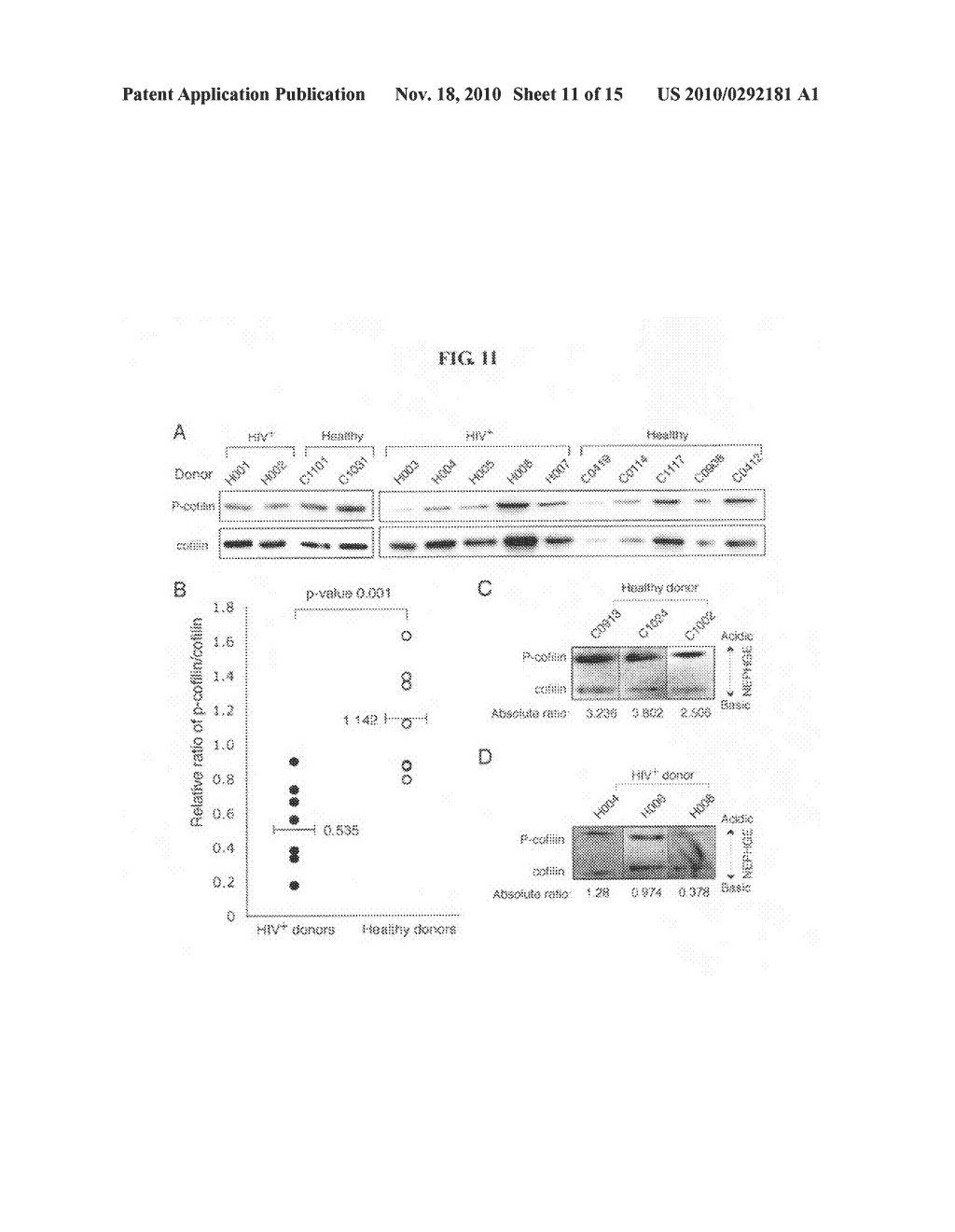 COMPOSITIONS AND METHODS FOR DETECTING AND TREATING HIV INFECTIONS - diagram, schematic, and image 12