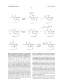 PYRAZOLO (3, 4-B) PYRIDINE DERIVATIVES AS PHOSPHODIESTERASE INHIBITORS diagram and image