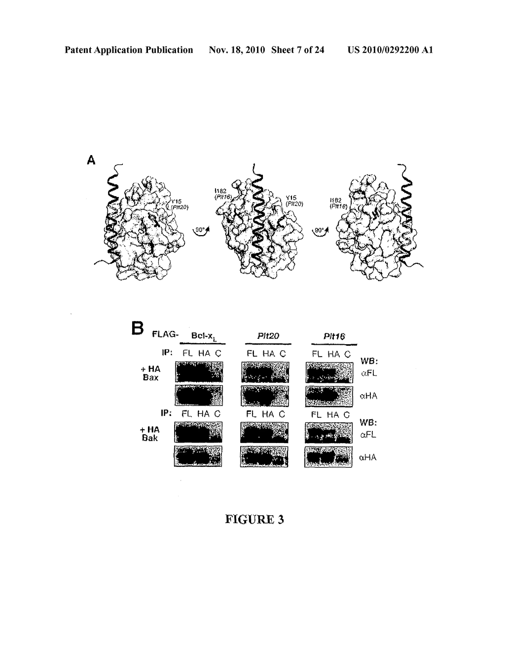 Methods for Modulating Apoptosis in Platelets - diagram, schematic, and image 08