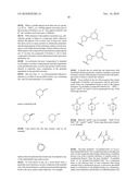 HETEROCYCLIC ASPARTYL PROTEASE INHIBITORS diagram and image