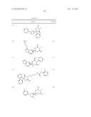 HETEROCYCLIC ASPARTYL PROTEASE INHIBITORS diagram and image