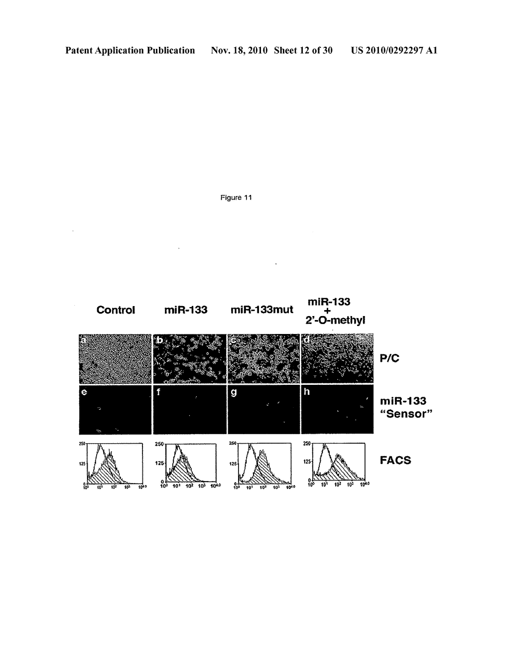 Micrornas That Regulate Muscle Cell Proliferation and Differentiation - diagram, schematic, and image 13