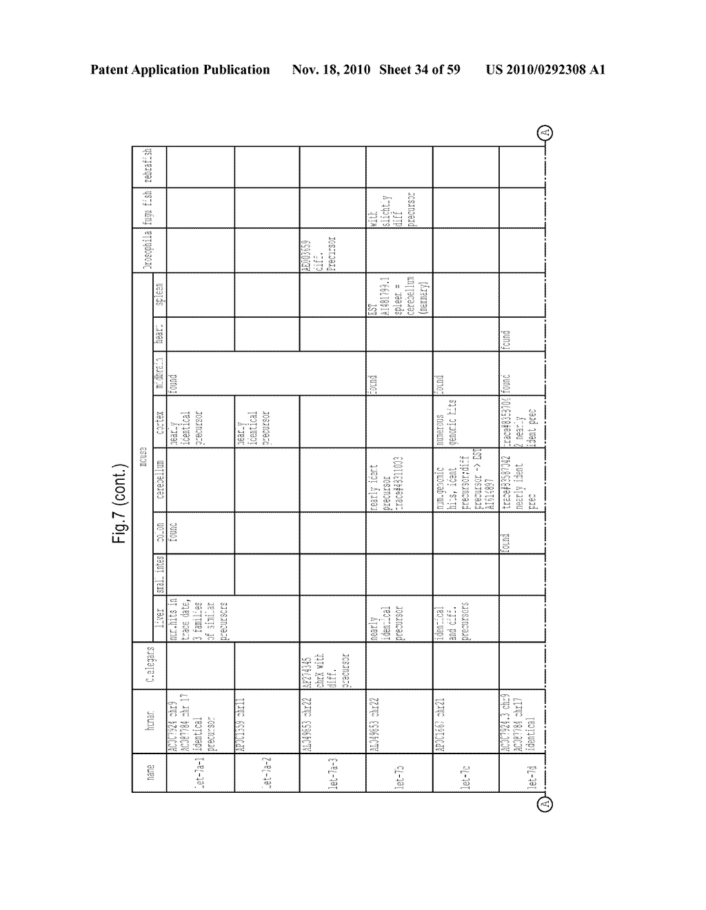 MICRORNA MOLECULES - diagram, schematic, and image 35