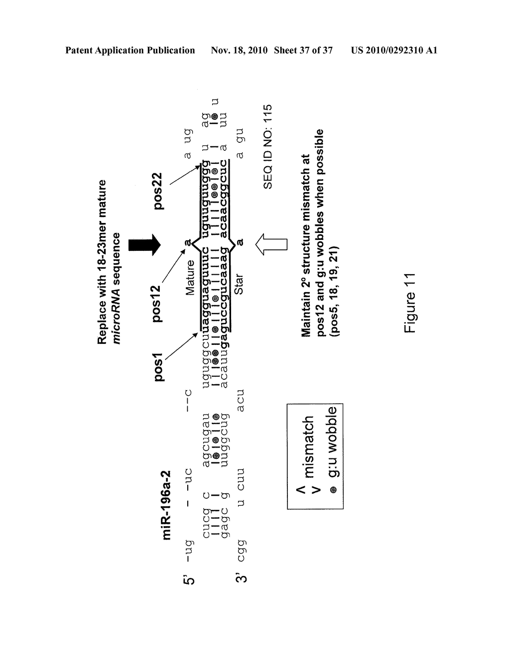 MICRO-RNA SCAFFOLDS AND NON-NATURALLY OCCURRING MICRO-RNAS - diagram, schematic, and image 38