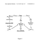 COMPOSITIONS AND METHODS FOR TREATING ISCHEMIA AND ISCHEMIA-REPERFUSION INJURY diagram and image