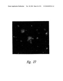 ANTI-ANGIOGENIC COMPOSITIONS AND METHODS OF USE diagram and image