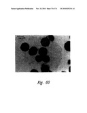 ANTI-ANGIOGENIC COMPOSITIONS AND METHODS OF USE diagram and image