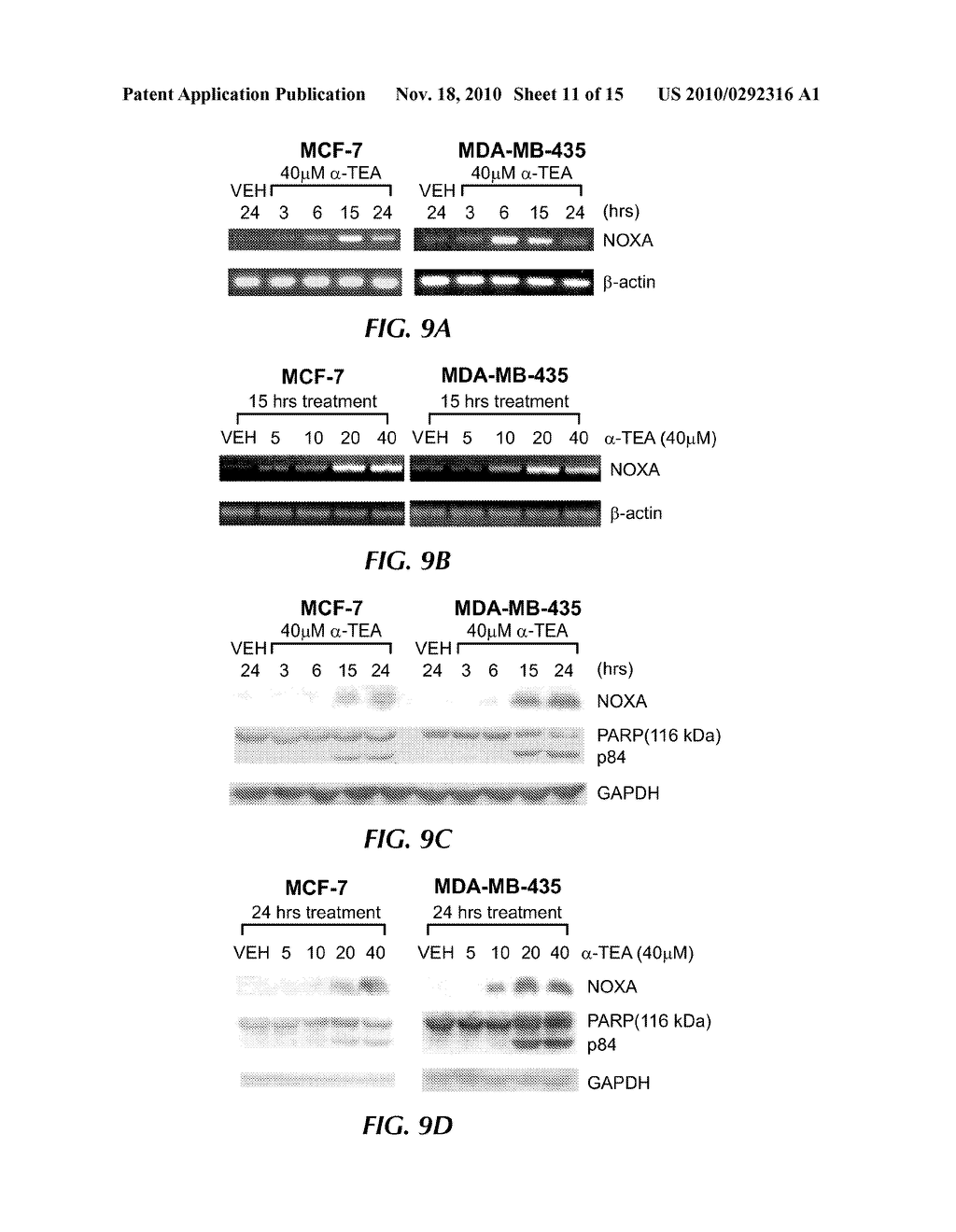 IMPROVED THERAPEUTIC METHODS AND COMPOSITIONS COMPRISING CHROMAN RING COMPOUNDS - diagram, schematic, and image 12