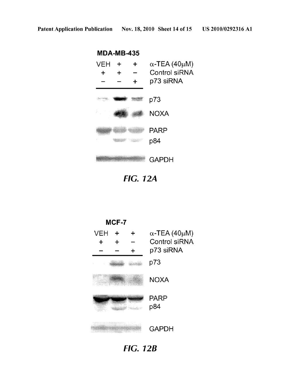 IMPROVED THERAPEUTIC METHODS AND COMPOSITIONS COMPRISING CHROMAN RING COMPOUNDS - diagram, schematic, and image 15