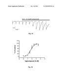 N-ACYLHYDRAZONE DERIVATIVES USEFUL AS MODULATORS OF NICOTINIC ACETYLCHOLINE RECEPTORS diagram and image