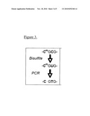 DETECTION OF METHYLATED DNA AND DNA MUTATIONS diagram and image