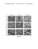 Highly Porous Ceramic Oxide Aerogels Having Improved Flexibility diagram and image