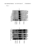 Method for Efficient Purification of Bionanocapsule diagram and image