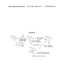 Efficient Synthesis Of Morphine And Codeine diagram and image