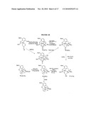 Efficient Synthesis Of Morphine And Codeine diagram and image