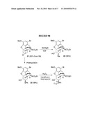 Efficient Synthesis Of Morphine And Codeine diagram and image