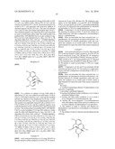 Efficient Synthesis Of Morphine And Codeine diagram and image