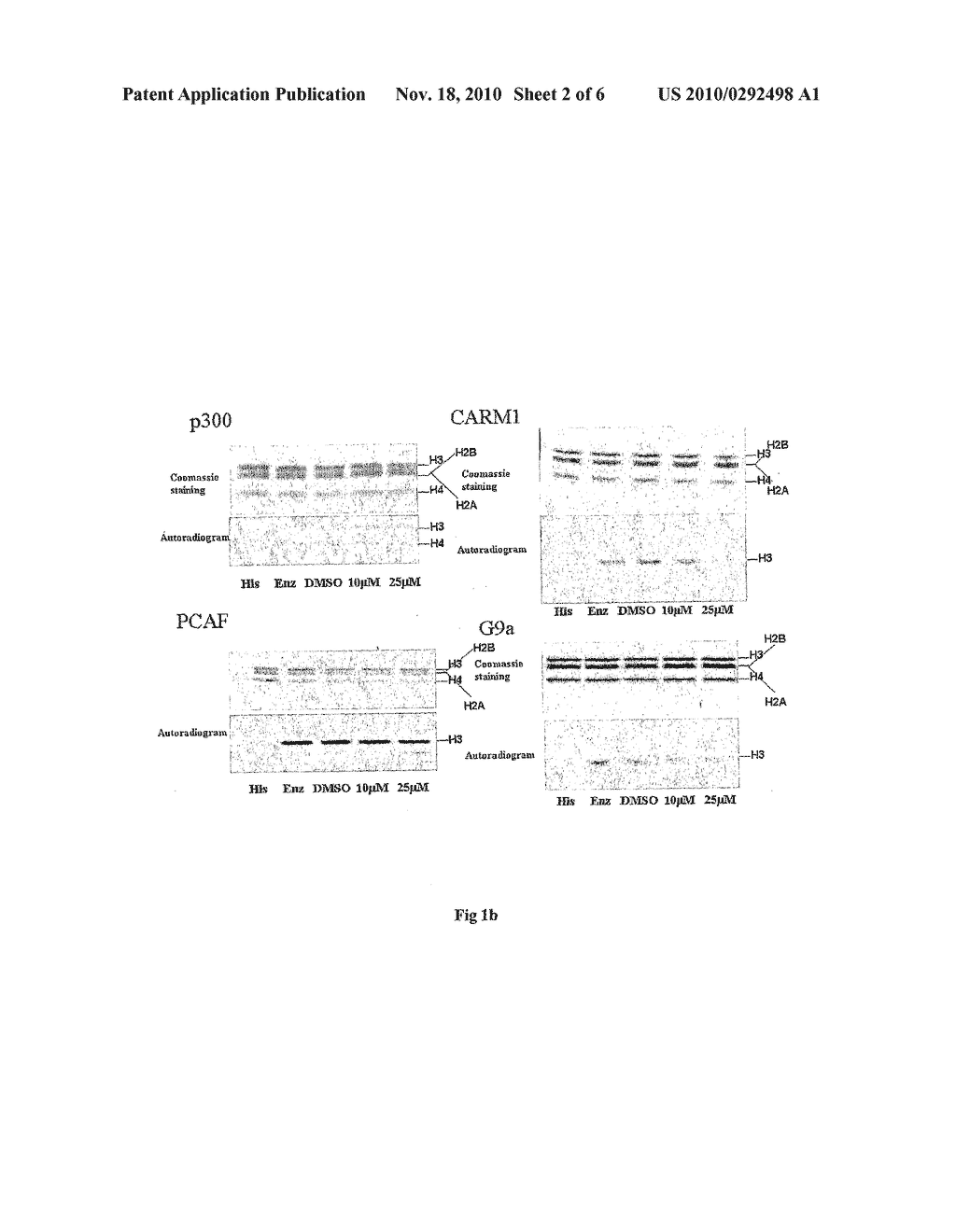 Site-Specific Inhibitors of Histone Methyltransferase [HMTASE] and Process of Preparation Thereof - diagram, schematic, and image 03