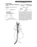 ENDOVASCULAR ROUTER DEVICE AND METHOD diagram and image