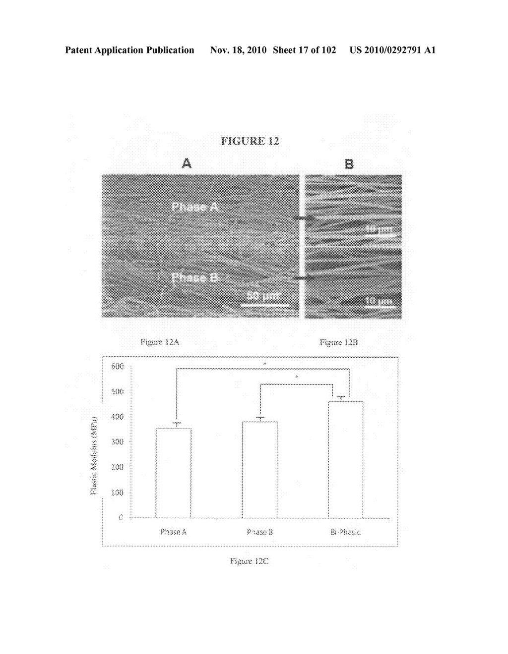 Fully synthetic implantable multi-phased scaffold - diagram, schematic, and image 18