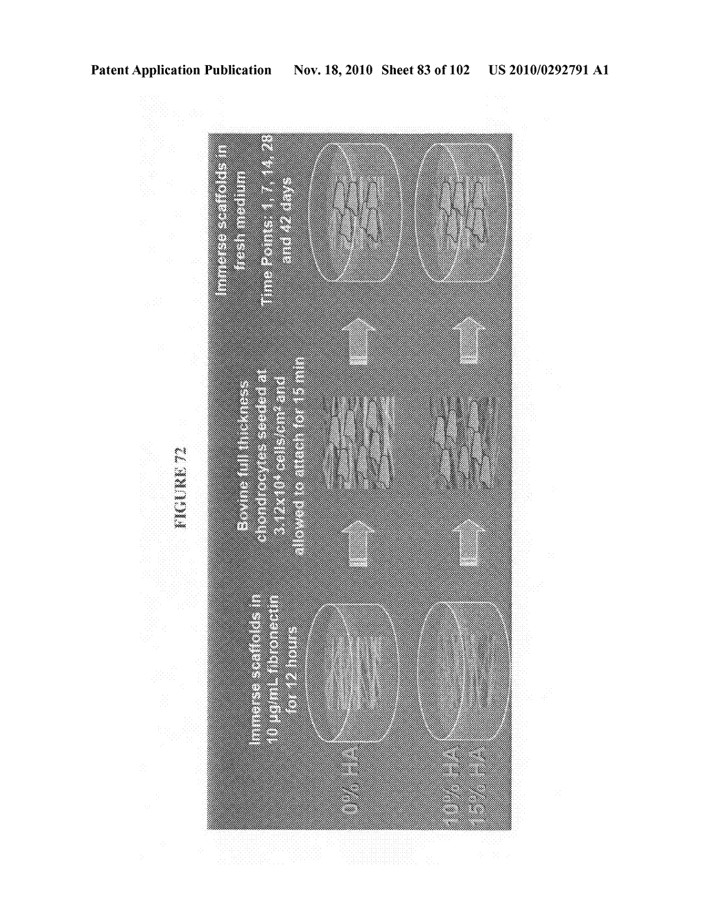 Fully synthetic implantable multi-phased scaffold - diagram, schematic, and image 84