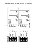 DEVICE FOR DECELERATING THE ROTATION OF A HINGE IN PARTICULAR FOR FURNITURE AND A HINGE PARTICULARLY FOR FURNITURE HAVING SAID DECELERATION DEVICE diagram and image