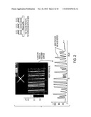 Stamps with micrometer-and nanometer-scale features and methods of fabrication thereof diagram and image