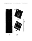 Stamps with micrometer-and nanometer-scale features and methods of fabrication thereof diagram and image