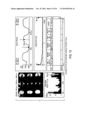 Stamps with micrometer-and nanometer-scale features and methods of fabrication thereof diagram and image