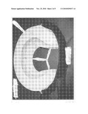 MOLD FOR AN EQUINE HOOF AND METHOD OF MAKING AND ATTACHING AN IN SITU HORSESHOE AND HOOF PROTECTION diagram and image