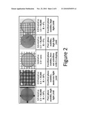 PHASE STABLE RARE EARTH GARNETS diagram and image