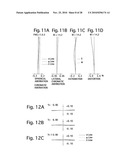 HIGH ZOOM-RATIO ZOOM LENS SYSTEM diagram and image