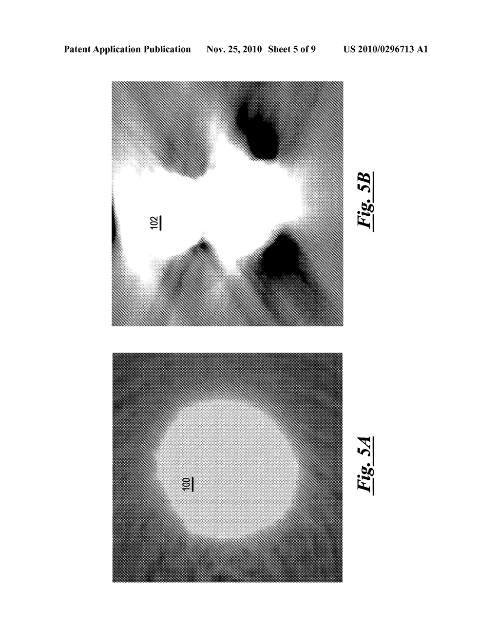 System and Method for Detecting Poor Quality in 3D Reconstructions - diagram, schematic, and image 06